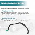 X Autohaux Fuel Vapor Separator Tube Hose Assembly Ford F150 F250 Expedition Lobo For Lincoln Navigator Canister F75z-9d289-aa