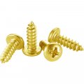 Gordon Glassa Brass Plated 6 X 3 8 Self-tapping Screws Phillips Pan Head Zinc Pack Of 50
