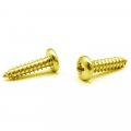 Gordon Glassa Brass Plated 6 X 3 8 Self-tapping Screws Phillips Pan Head Zinc Pack Of 50