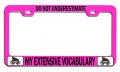 Do Not Underestimate My Extensive Vocabulary Geek Pn Steel Auto Suv License Plate Frame Tag Holder 