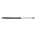 Trunk Lift Support For Toyota Matrix 2003 2004 2005 Driver Or Passenger Side Single Piece Replacement 6895002050 6895002051 