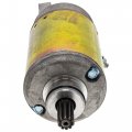 Niche Starter Motor For Kawasaki Denso Ninja Zx9r Z1000 Z750s Z800 21163-0729 21163-1283 21163-0017 228000-7040