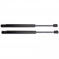 Aintier Automotive Replacement Shock Lift Supports Fit For Mercury Mountaineer 2002-2010