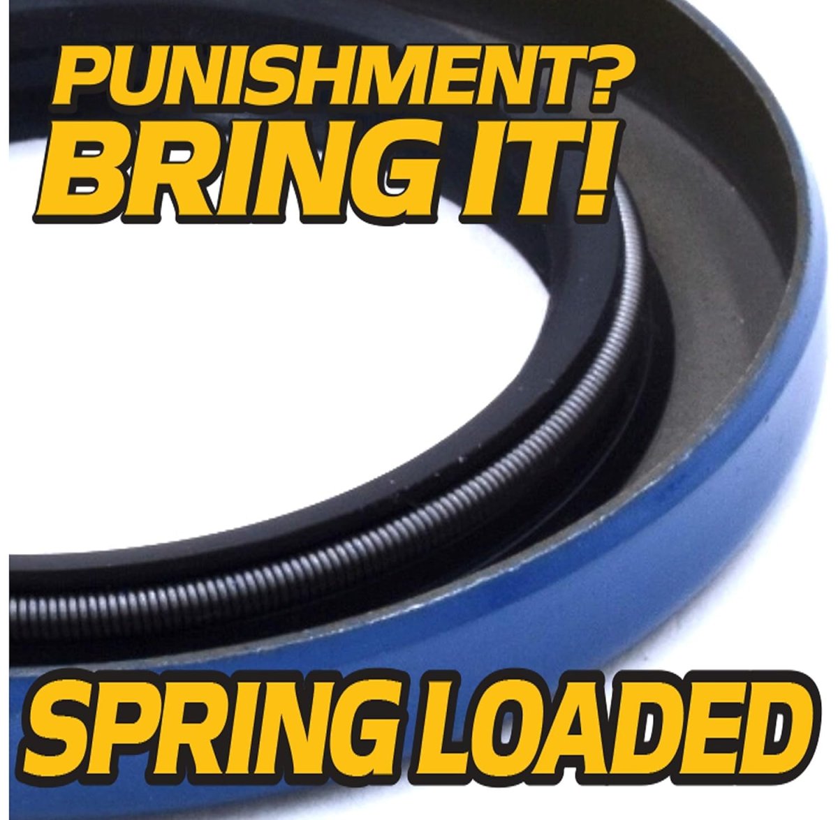 Front Wheel Bearing Axle And Spring Loaded Seal Rebuild Kit For 13x5 00-6 Tires Fits Toro Exmark 126-5360 103-3051 1-633584