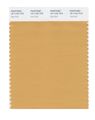Pantone Smart 16-1144x Color Swatch Card Oak Buff 