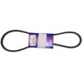 Volvo Raw Water Pump Belt 