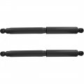 2 Front Shock Absorbers For Ford B600 B700 F600 F700 F7000 F800 Ft800 L800 Ln800 1980 Model Pzam231129501220 