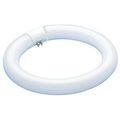 Pack Of 12 Fc8t9 Cw 8-inch 22-watt T9 Circular Fluorescent Tube Light Bulb 