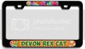 Devon Rex Cat 3d Metal License Plate Frame Universal Fit For Auto Suv And Truck Tag Holder 12 In X 6 Heavy Duty Steel All 