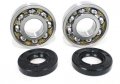 Bossbearing Main Crank Shaft Bearings Seals Kit For Kawasaki Ke100 1996 1997 1998 1999 2000 2001 