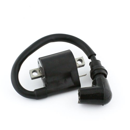Ignition Coil For Arctic Cat 400 2x4 4x4 Man 1998 2002 And Yamaha Blaster Raptor Ttr Big Bear Atv Part Number Ic102 6