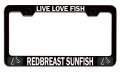 Live Love Fish Redbreast Sunfish Fishing Black Metal License Plate Frame Tag Holder F61 