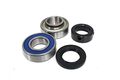 Chain Case Bearing And Seal Kit Jack Shaft For Yamaha Phazer Ii 1990 1991 1992 1993 Part Number 14-1031b 
