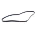 Alternator Water Pump Power Steering Belt 7k X 1629 11287833264 