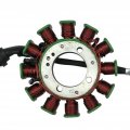 Tdpro 12 Coil 5 Wire Magneto Stator For 200cc 250cc Atv Dirt Pit Bike Go Kart Buggy