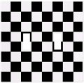 Black White Checkered Switch Plate Cover 2 Gang Double Toggle 