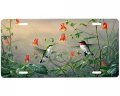Hummingbird License Plate 