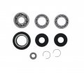 Cycle Atv Front Differential Bearing And Seal Kit Fits Fourtrax Trx 300 Wolverine Yfm 350 Big Bear 400 Kodiak