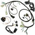 Caltric Wiring Harness Switch Key Coil And Starter Relay Compatible With Honda Sportrax 250 Trx250 2009-2017 