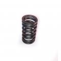 Valve Spring B Blue Compatible With Replacement For Chevrolet W3500 Tiltmaster 2004-2009 W4500 2004-2010 W5500 4he1 4hk1 6hk1 