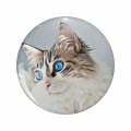 1080 Graphics Pure Blue Eyes Cat Key Chain Double Sided Stainless Steel Keychain 