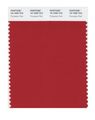 Pantone Smart 18-1658x Color Swatch Card Pompeian Red 