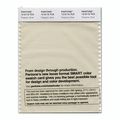 Pantone Smart Swatch 12-0110 Pistachio Shell 