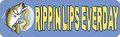 10in X 3in Rippin Lips Everyday Fishing Bumper Magnet Magnetic Bass Magnets By Stickertalk 