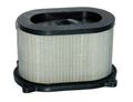 Hiflofiltro Hfa3609 Premium Oe Replacement Air Filter 