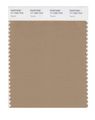 Pantone Smart 17-1320x Color Swatch Card Tannin 