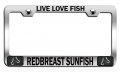 Live Love Fish Redbreast Sunfish Fishing Chrome Metal License Plate Frame Tag Holder H81 