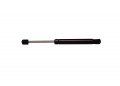 Strongarm 4643 Trunk Lid Lift Support Pack Of 1 Black 