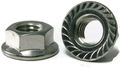 Serrated Flange Nuts 18 Stainless Steel 8 32 344 Flats X 203 In Thick 100 Pieces