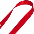 Vulcan Lashing Strap 1 Inch X 15 Feet