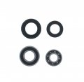 Suzuki Ltr450 450 Front Wheel Bearings And Seals X1