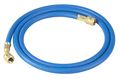 Robinair 32060 1 4 Standard Hose With Fittings 60 Blue 
