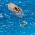 Graphics More German Shepherd Dog Breed Floating Keychain Oval Foam Fishing Boat Buoy Key Float