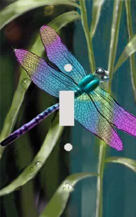 Colorful Dragonfly Decorative Switchplate Cover