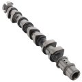 Camshaft For 2009 Chevy Aveo Aveo5 And Pontiac G3 Oe Numbers 55561748 Cp1695 