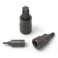 Torx Socket T55 
