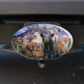 Mount Rainier National Park Washington Wa Animals Bear Fox Cougar Deer Wolf Oval Tow Trailer Hitch Cover Plug Insert