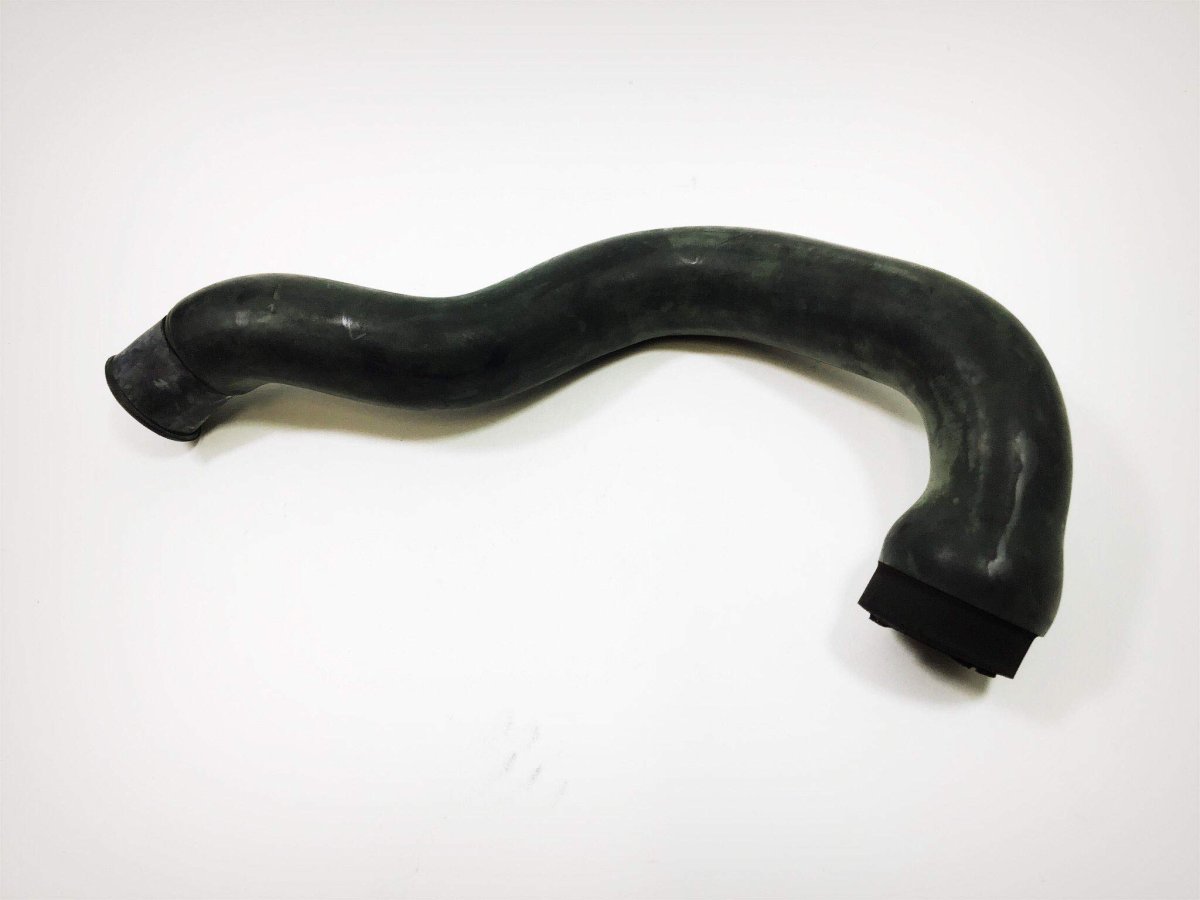 Hose