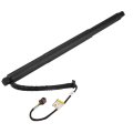 A-premium Rear Power Lift Support Shock Strut Compatible With Volkswagen Tiguan 2018-2020
