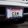 Dungeon Dice Pattern For Fighting Dragons License Plate Tag Frame