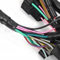 Wiring Wire Harness For Honda Fourtrax 300 Trx300 2x4 Trx300fw 4x4 1994 1995 1996 1997-a 32100-hm5-670