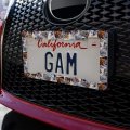 Rockies Mountain Life Fishing Bear Eagle Pattern License Plate Tag Frame