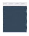 Pantone Smart 19-4316x Color Swatch Card Stargazer 