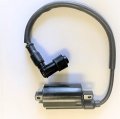 Linhai Manco Talon 250cc 300cc Ignition Coil For Scooter And Atv Parts Part Number 1713-2 