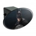 Batman Arkham Asylum Video Game Oval Tow Trailer Hitch Cover Plug Insert