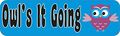10in X 3in Owls It Going Magnet Bumper Owl Car Vinyl Magnetic Magnets By Stickertalk 